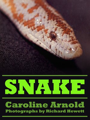 cover image of Snake